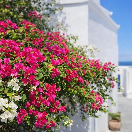 Hotiday Santorini Sea View Lejlighedshotel 3*
