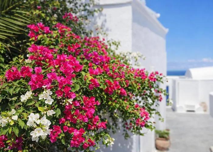 Hotiday Santorini Sea View 公寓式酒店 3*